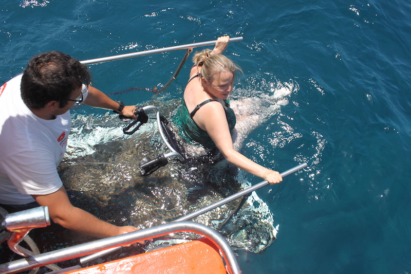 Barco Accesible - Charter privado 3 horas (10 personas)